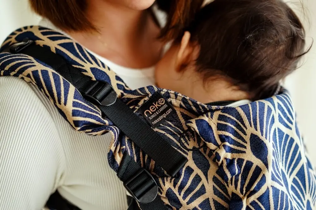 Neko Switch Medium Size Carrier - Kidonya Elegance - Image 5